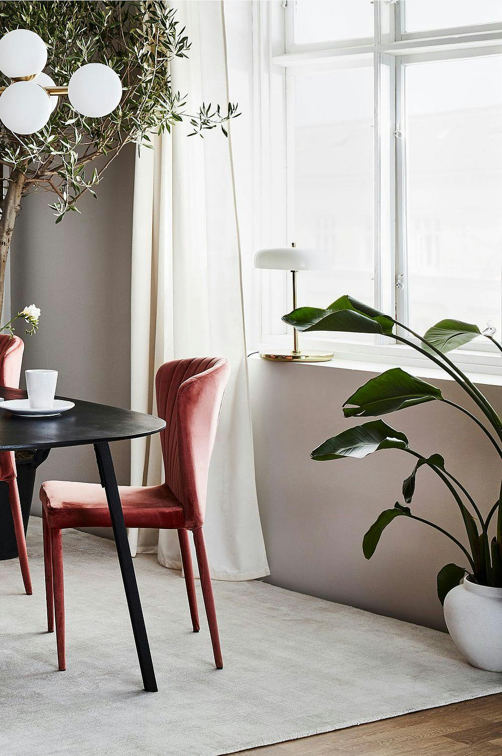 b 2 o trend teppe 2020